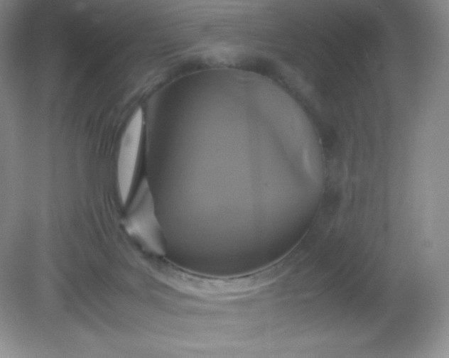 X0000082150027200702021646