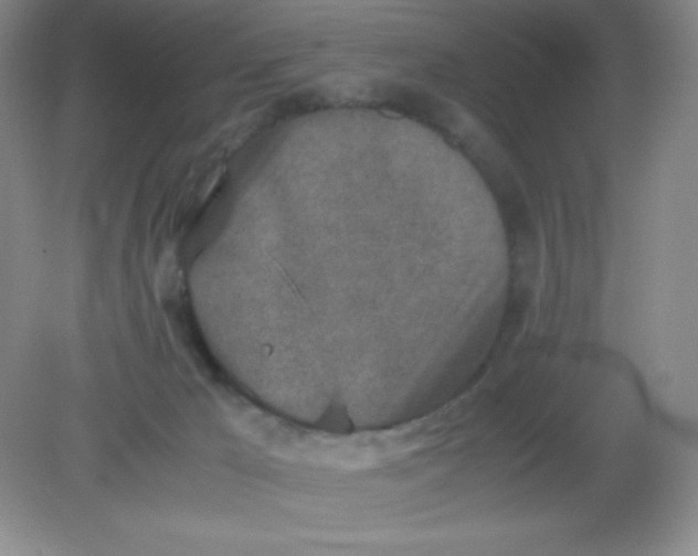 X0000082150029200702021646