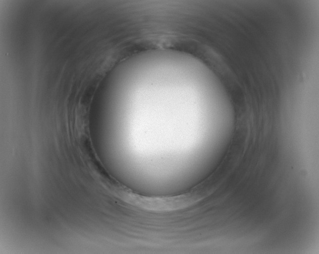 X0000082150030200702021646