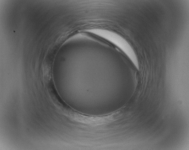 X0000082150031200702021646