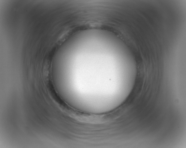 X0000082150032200702021646