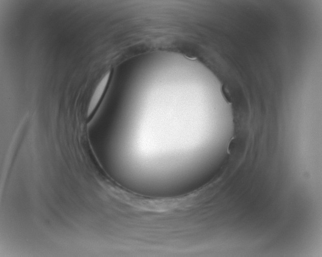 X0000082150033200702021646