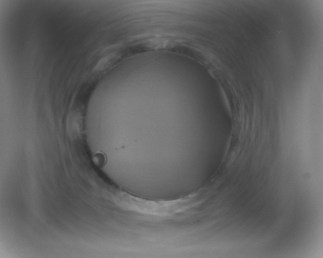 X0000082150035200702021646