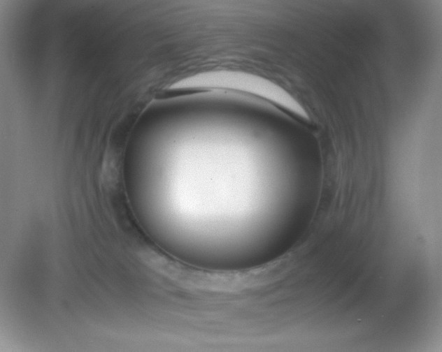 X0000082150037200702021646