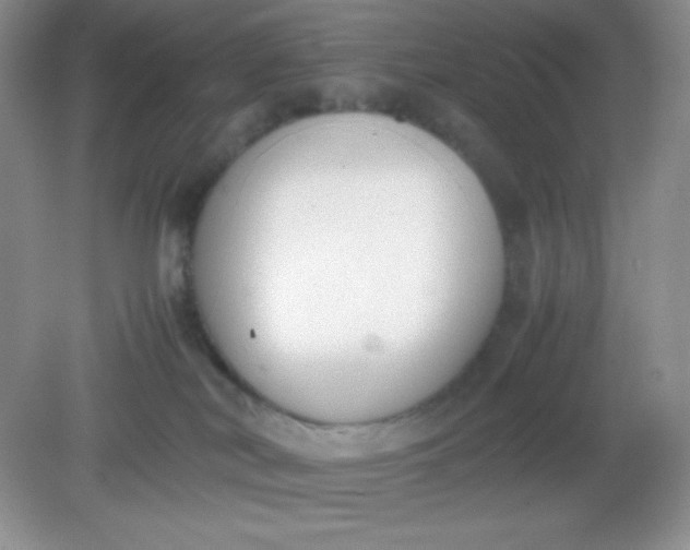 X0000082150038200702021646