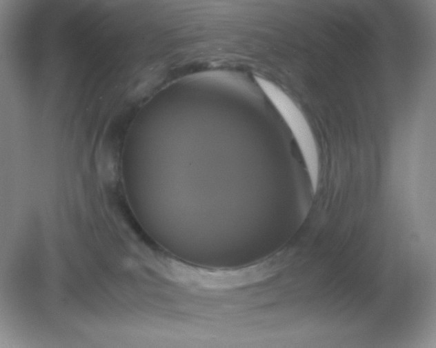 X0000082150039200702021646