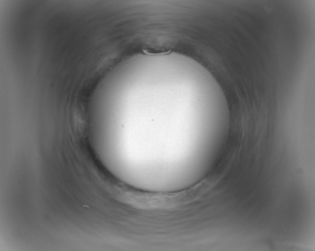 X0000082150040200702021646