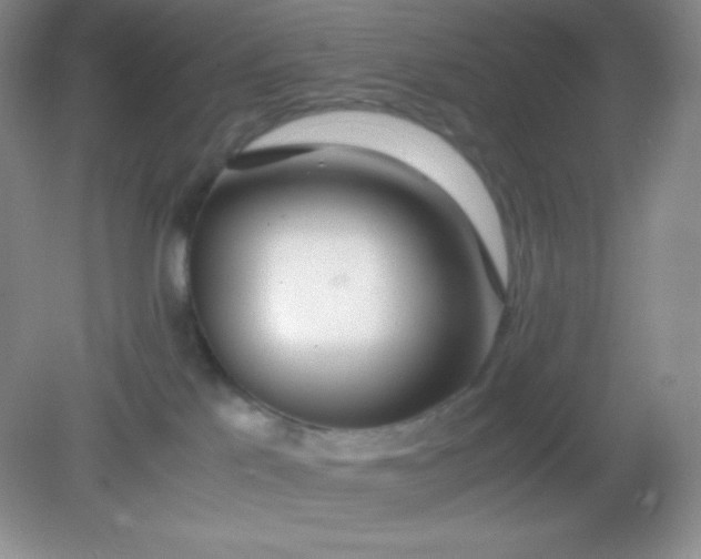 X0000082150041200702021646