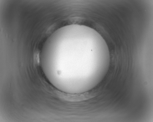 X0000082150042200702021646