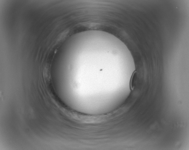 X0000082150044200702021646