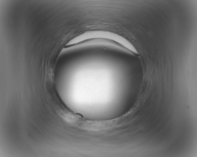 X0000082150045200702021646