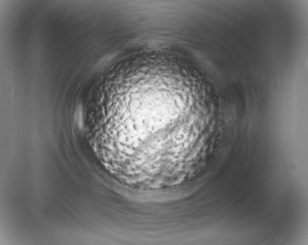 X0000082150046200702021646