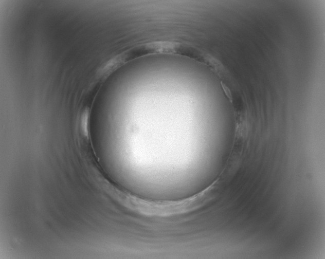 X0000082150047200702021646