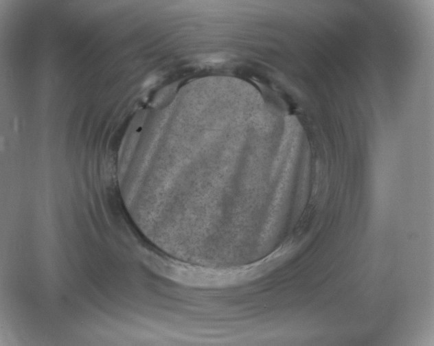 X0000082150048200702021646