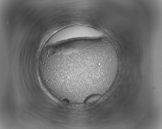 X0000082150049200702021645