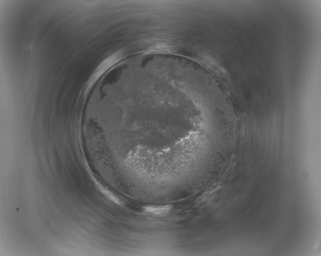 X0000082150051200702021645