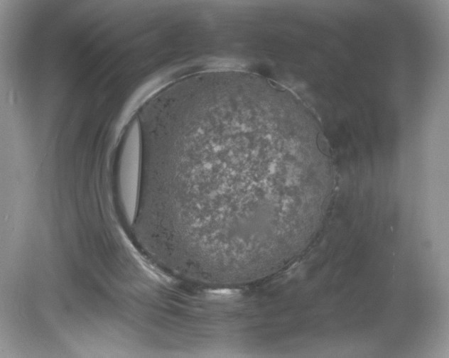 X0000082150053200702021645