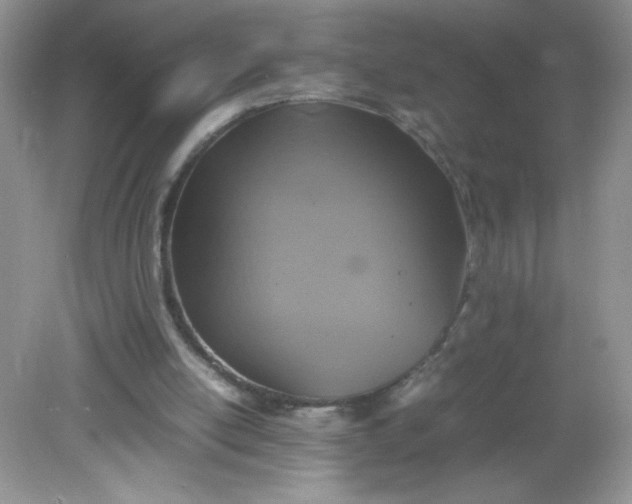 X0000082150054200702021645