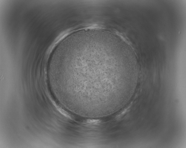 X0000082150055200702021645