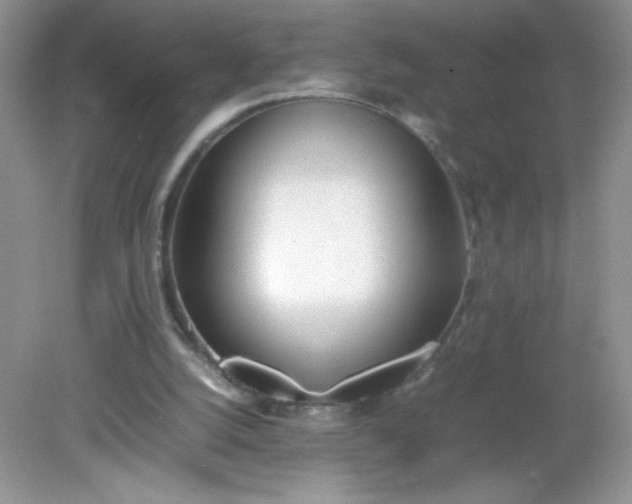 X0000082150056200702021645