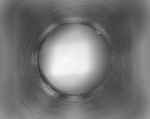 X0000082150058200702021645