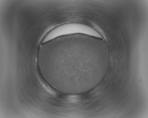 X0000082150059200702021645