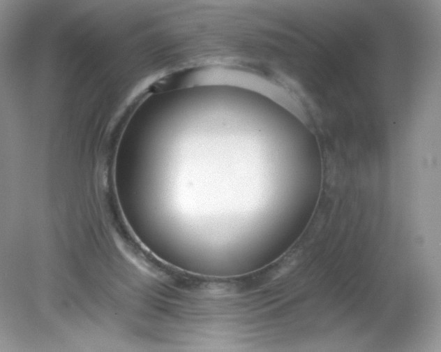 X0000082150060200702021645