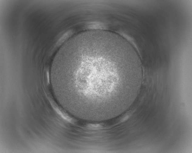 X0000082150061200702021645