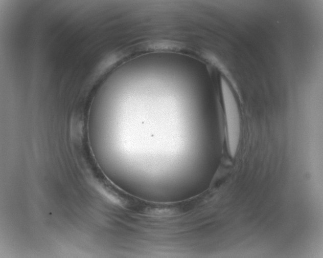 X0000082150063200702021646