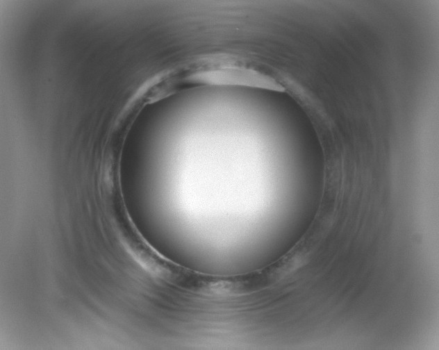 X0000082150064200702021646