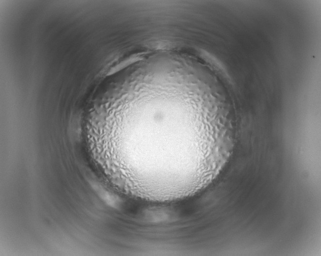 X0000082150065200702021646