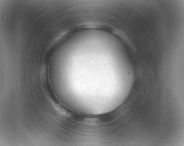 X0000082150066200702021646