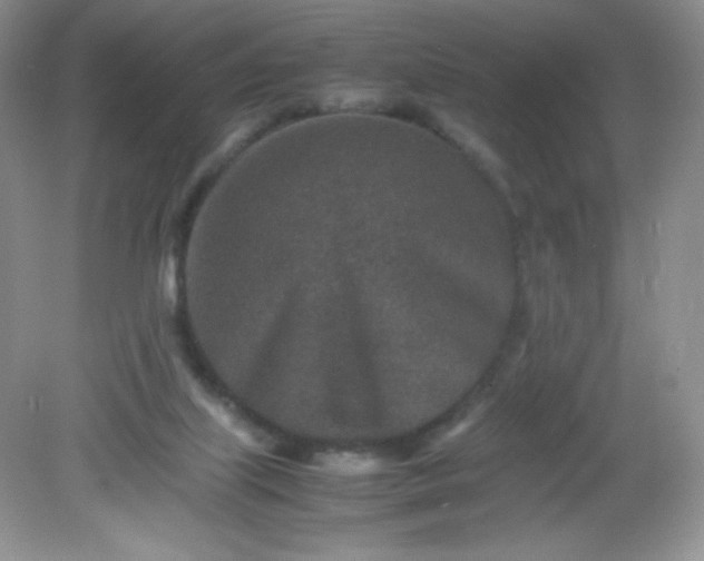 X0000082150067200702021646