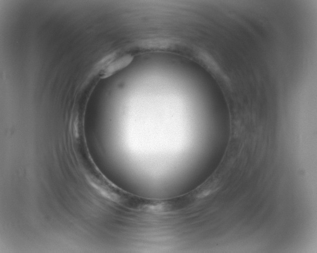 X0000082150068200702021646