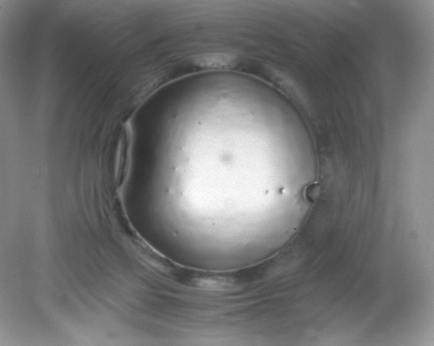 X0000082150069200702021646