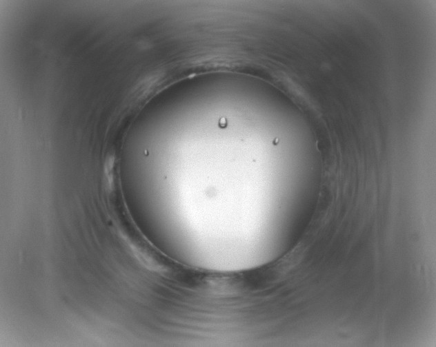 X0000082150070200702021646