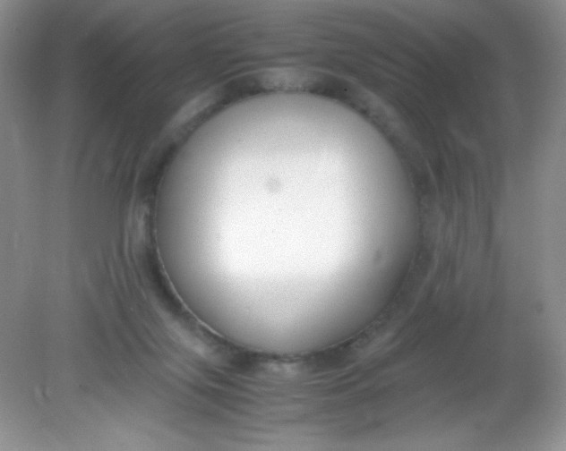 X0000082150071200702021646