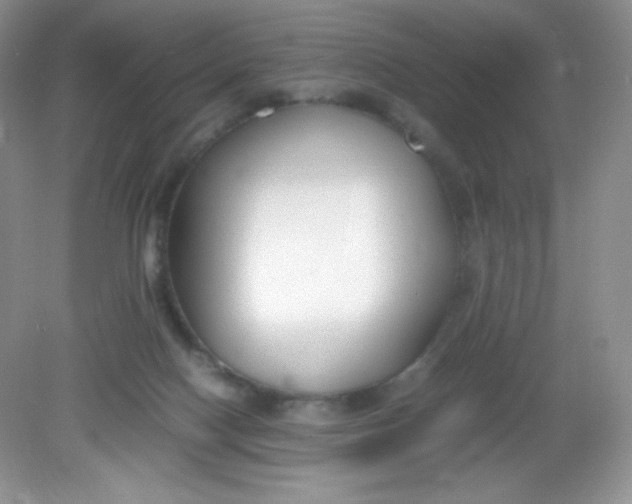 X0000082150074200702021646