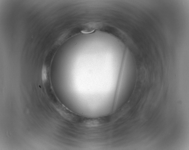 X0000082150075200702021646