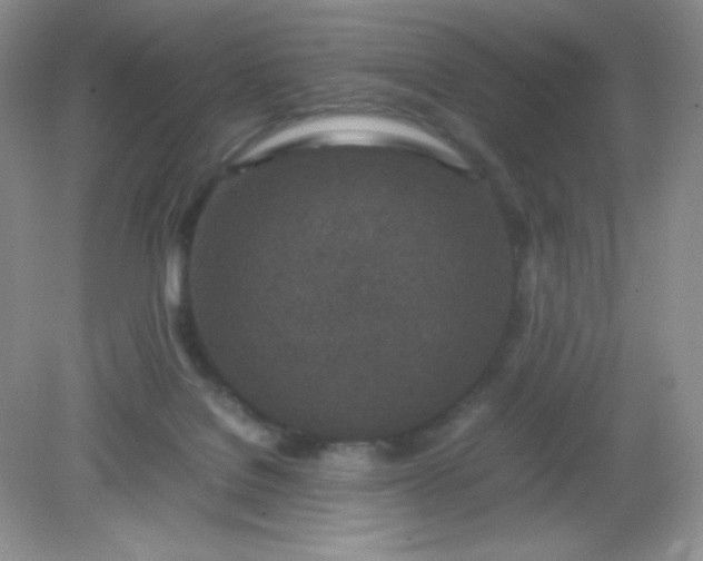 X0000082150076200702021646