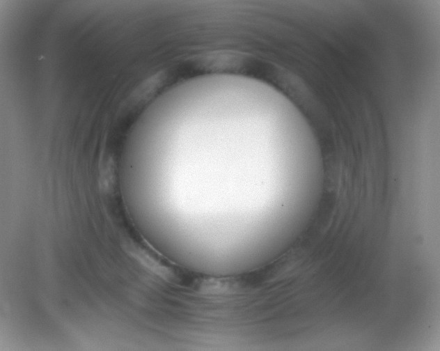 X0000082150077200702021646