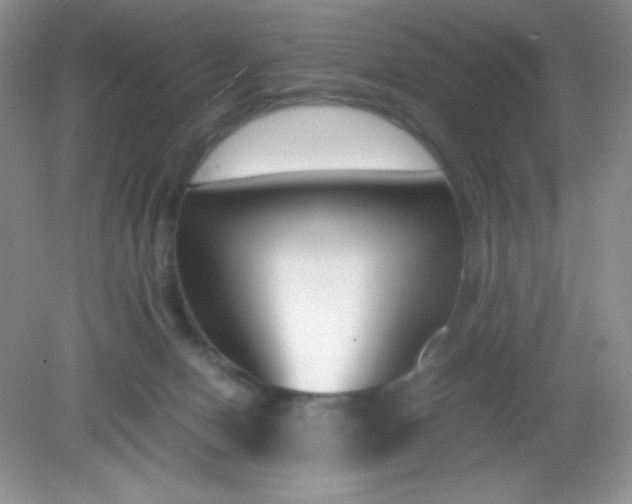 X0000082150078200702021646