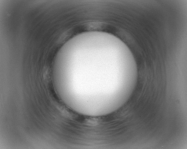 X0000082150079200702021646