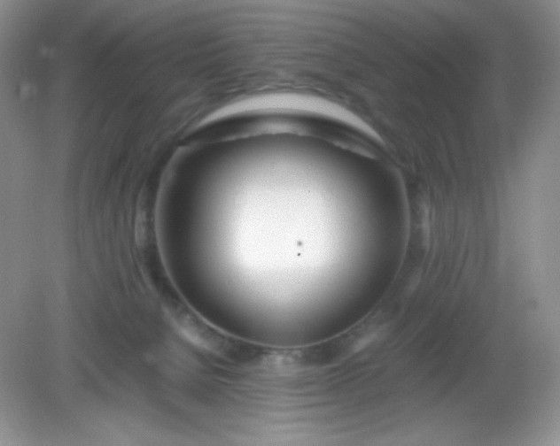 X0000082150080200702021646