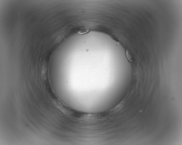 X0000082150082200702021646