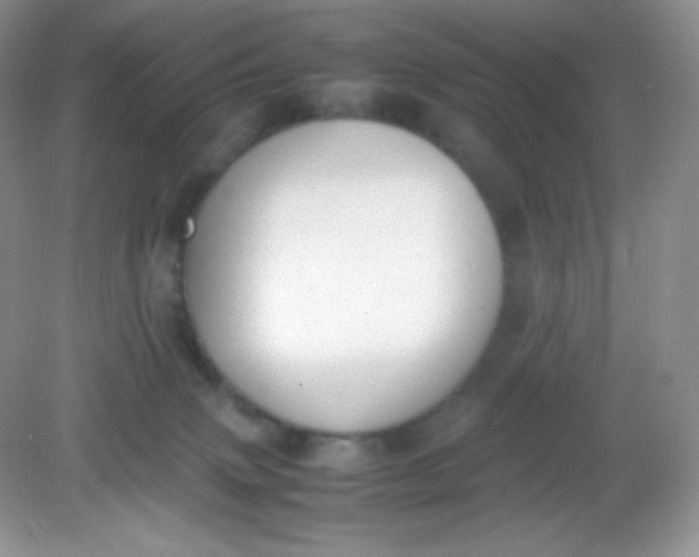 X0000082150083200702021646