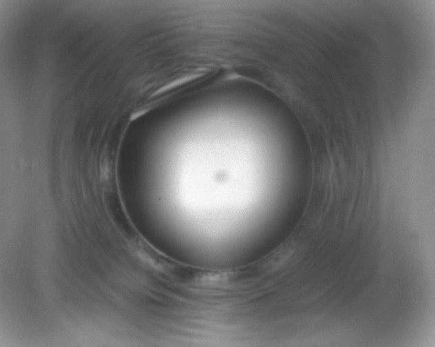 X0000082150084200702021646