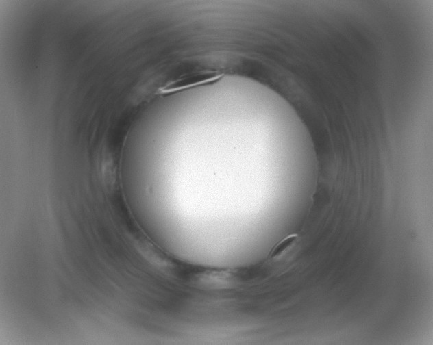 X0000082150086200702021646