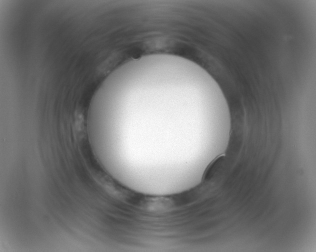 X0000082150087200702021646