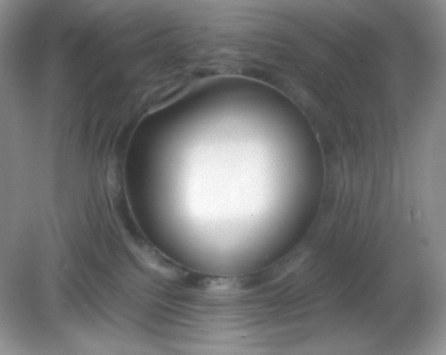 X0000082150088200702021646